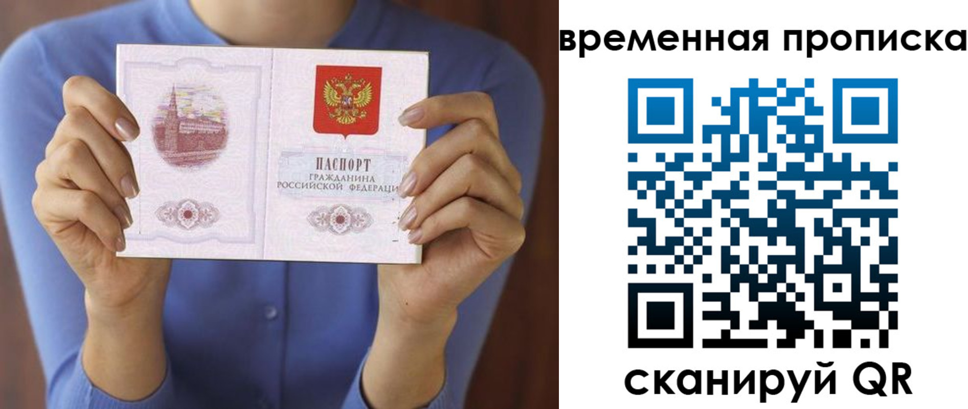 прописка поиск в Домодедово